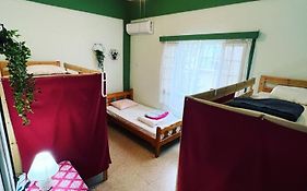 Hostel Past Or Tail